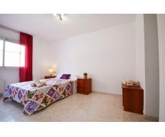 Luminoso piso de 2 habitaciones, con terraza y solárium– ¡Buena ubicación y listo para entrar a vivi
