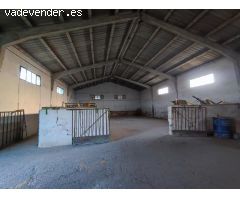 PARCELA 8.779m2 CON 1.000 m2 DE NAVES