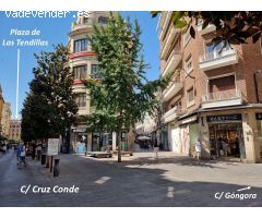 Vivienda señorial amueblada de 2 dorimitorios y 2 baños, para alquiler de larga temporada