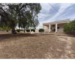 VENTA DE CHALET EN ASPE MUY CERCA DEL PUEBLO
