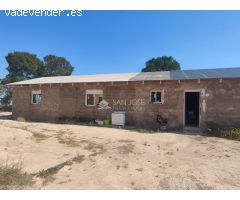 SE VENDE CASA DE CAMPO PARA REFORMAR UNA CASA Y TERMINAR DE REFORMAR OTRA CASA EN ASPE