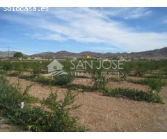 Venta de parcela en Aspe Alicante