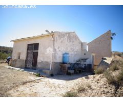 NUEVA PROPIEDAD EN VENTA DE TERRENO PLANTADO DE OLIVERAS CON 2 ALMACENES EN ASPE