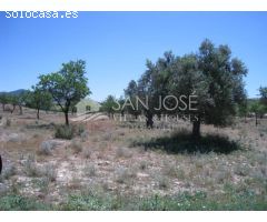 VENTA DE TERRENO EN HONDON DE LOS FRAILES