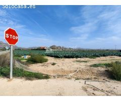 SE VENDE TERRENO RURAL EN MONFORTE DEL CID EN EL CAMINO SAN VICENTE