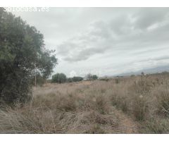 SE VENDE TERRENO RURAL EN BUENA ZONA DE ASPE