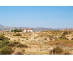 SE VENDE FINCA RUSTICA EN PARTIDA DE ALTABIX ELCHE