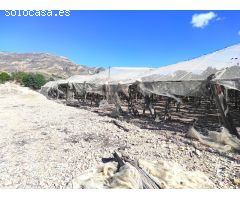 SE VENDE PARCELA DE 38.800 M  CON CASA- ALMACÉN  EN MONORTE DEL CID.