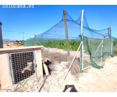 SE VENDE PARCELA EN PRODUCIÓN DE UVA Y PERMISIBLE PARA CONSTRUCCIÓN EN MONFORTE DEL CID.