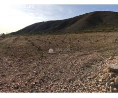 SE VENDE TERRENO RÚSTICO CON CUEVA HABITACIÓN EN ALGUEÑA