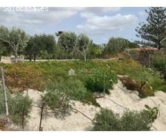 INMOBILIARIA SAN JOSE VENDE CASA-ALMACÉN CON FINCA PLANTADA DE OLIVERAS EN ASPE