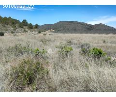 INMOBILIARIA SAN JOSE VENDE FINCA RUSTICAEN EL RINCON- HONDON DE LAS NIEVES