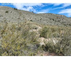 INMOBILIARIA SAN JOSE VENDE FINCA RUSTICA EN HONDON DE LAS NIEVES PARAJE LA SOLANA