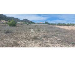 SE VENDE PARCELA RUSTICA EN HONDON DE LOS FRAILES ZONA DE MONTEALTO