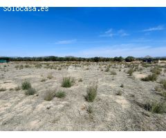 SE VENDE PARCELA RUSTICA EN ASPE ZONA HUERTA MAYOR