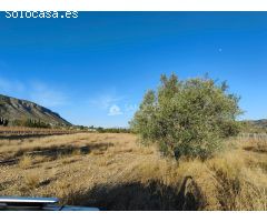 SE VENDE PARCELA RUSTICA EN HONDON DE LOS FRAILES ZONA LA SOLANA