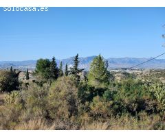 INMOBILIARIA SAN JOSE VENDE PARCELA RUSTICA EN ASPE ZONA BORISA