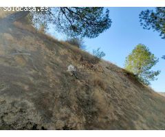 INMOBILIARIA SAN JOSE VENDE PARCELA RUSTICA-NO SE PUEDE CONSTRUIR LEGAL NADA-EN ASPE-BORISA