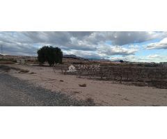 SE VENDE PARCELA EN MONFORTE DEL CID