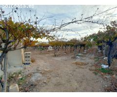INMOBILIARIA SAN JOSE VENDE PARCELA RUSTICA EN BUENA ZONA DE ASPE