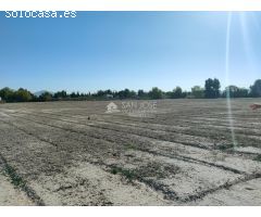 inmobiliaria san José vende parcela rustica en carretera de Monforte