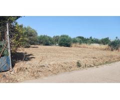 Parcela en Venta en Chiclana de la Frontera, Cádiz