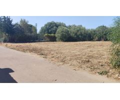 Parcela en Venta en Chiclana de la Frontera, Cádiz