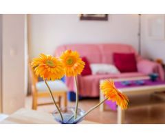 Estupendo apartamento situado en la Carihuela muy próximo al mar