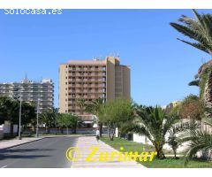 Las Gaviotas