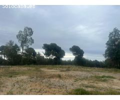 Parcela de 1.603m2 en Urb. Rocio de Nagueles, Milla de Oro