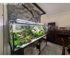 FABULOSA CASA CON PISCINA EN ENCINAREJO. (PRECIO NO NEGOCIABLE)