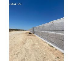 FINCA EN VENTA EN DARRO