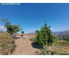 CORTIJO CON PARCELA EN VALOR