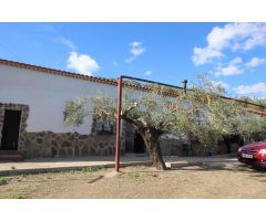 MAGNIFICO OLIVAR CON CASA, COCHERA PARA APEROS Y PISCINA ENTRE VILLAHARTA Y POZOBLANCO.