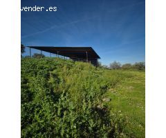 MAGNIFICO TERRENO EN GIGARRA BAJA, CON POZO LEGALIZADO.