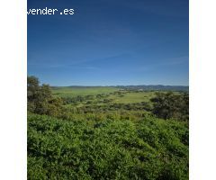 MAGNIFICO TERRENO EN GIGARRA BAJA, CON POZO LEGALIZADO.