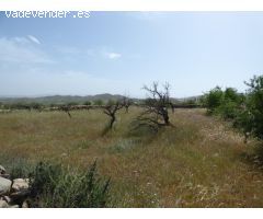 Terreno rural en Venta en Uleila del Campo, Almería