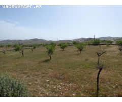 Terreno rural en Venta en Uleila del Campo, Almería