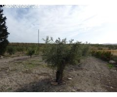 Casa con terreno en Venta en Uleila del Campo, Almería