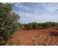 Casa de campo en Venta en Uleila del Campo, Almería