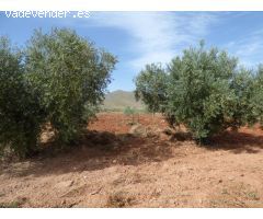 Casa de campo en Venta en Uleila del Campo, Almería