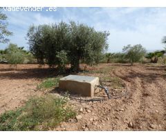 Casa de campo en Venta en Uleila del Campo, Almería