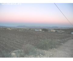 Terreno rural en Venta en Novelda, Alicante