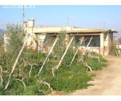 SE VENDE CASA DE CAMPO EN ASPE
