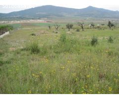 SE VENDE PARCELA EN HONDON DE LAS NIEVES