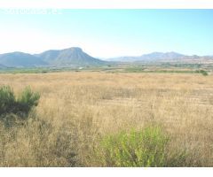 SE VENDE TERRENO EN ASPE