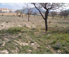 Parcela en Venta en Hondón de los Frailes, Alicante