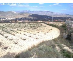 TERRENO EN HONDON DE LOS FRAILES