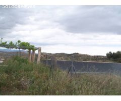 TERRENO EN ASPE