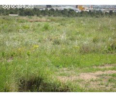 Terreno rural en Venta en Aspe pedanias, Alicante